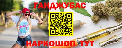 шишки Новозыбков