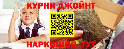 шишки Новозыбков