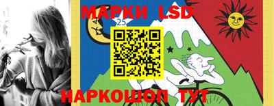 шишки Новозыбков