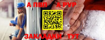 шишки Новозыбков