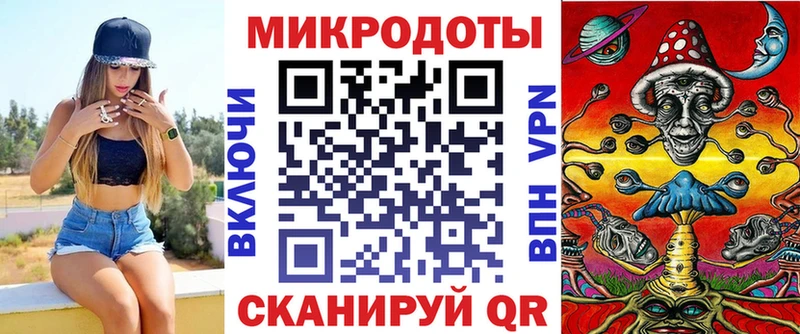 Псилоцибиновые грибы Psilocybe Новочеркасск