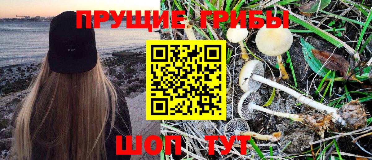 Галлюциногенные грибы прущие грибы  Галлюциногенные грибы Psilocybe  Вход с VPN  Новочеркасск 