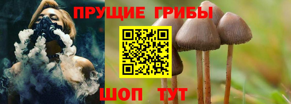Псилоцибиновые грибы Magic Shrooms Новочеркасск